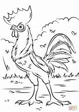 Pages Coloring Rooster Adults Getdrawings sketch template
