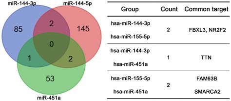 possible tumor suppressive role of the mir 144 451 cluster in