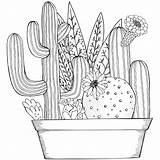 Succulents Succulent Verbnow Pots Doodles Imhope Pintando sketch template