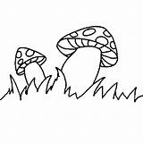 Mushrooms Coloring Agaric Fly Print sketch template
