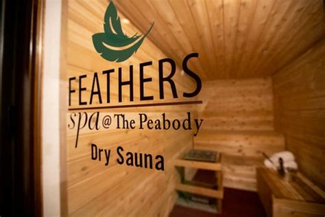 feathers spa  peabody memphis  top  spas  spas  america