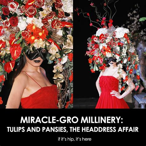miracle gro millinery tulips and pansies the headdress