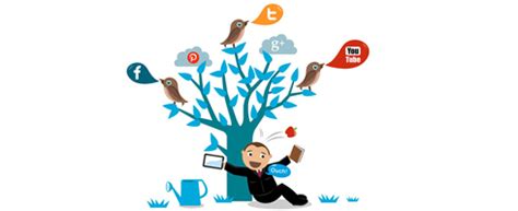 social media    vital role   marketing plans