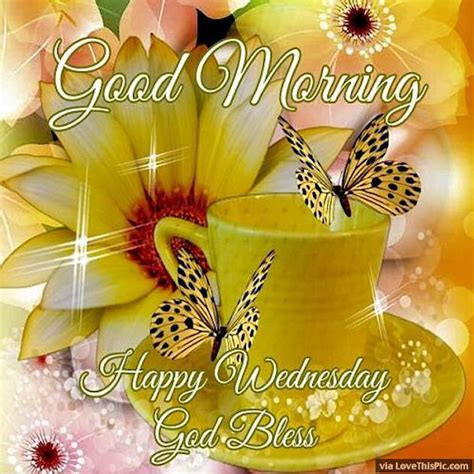 good morning happy wednesday god bless image  butterflies pictures
