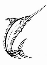 Swordfish Fish Clip Rat Template Catching sketch template