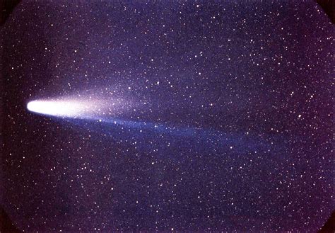 filelspn comet halleyjpg wikipedia