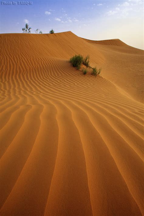 desert sand best photos site chose my photo as one of the … flickr