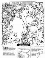 Rat Peta Teachkind sketch template