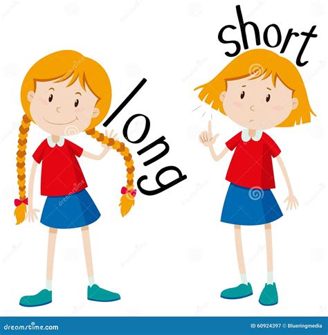 adjectives long  short stock vector illustration  hair