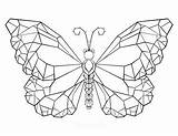 Monarca Polygonaler Farfalla Tatuaggio Poligonale Schmetterling Pattern Abbildung sketch template