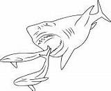 Megalodon Whales sketch template