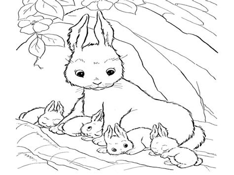 baby bunnies coloring pages coloring home