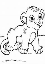 Lion Cub Coloring Baby Clipart Pages Kids Cute Printable Drawing Clip Print Getdrawings Views Cliparts Drawings Clipground Coloringhome 91kb sketch template