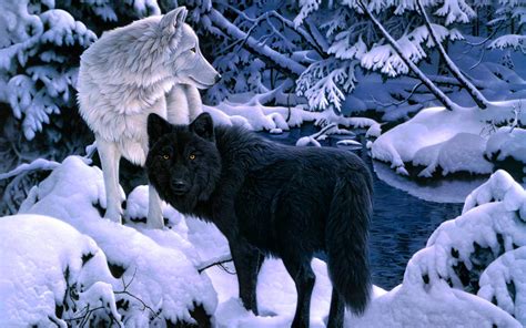 black  white wolf desktop background  atdonnam