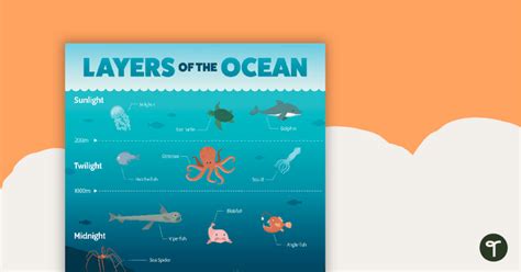 layers   ocean poster teaching resource teach starter