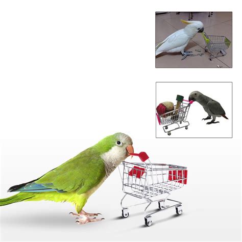 compare prices  mini parrots  shoppingbuy  price mini parrots  factory price