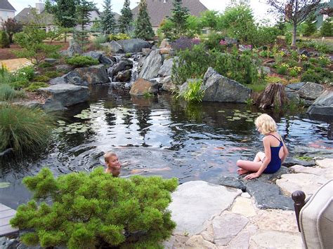 natural swimming ponds embracing  pond life  deck  patio