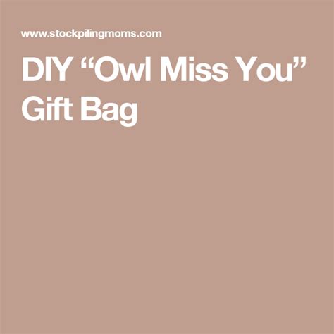 diy owl   gift bag   gifts owl