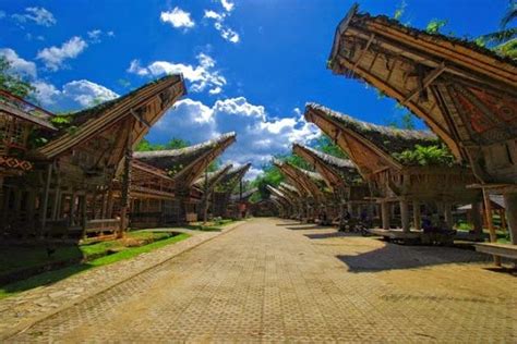 rumah adat tongkonan asal daerah toraja sulawesi selatan dunia kesenian