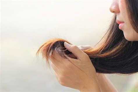 efektif mengatasi rambut tipis  mudah alodokter