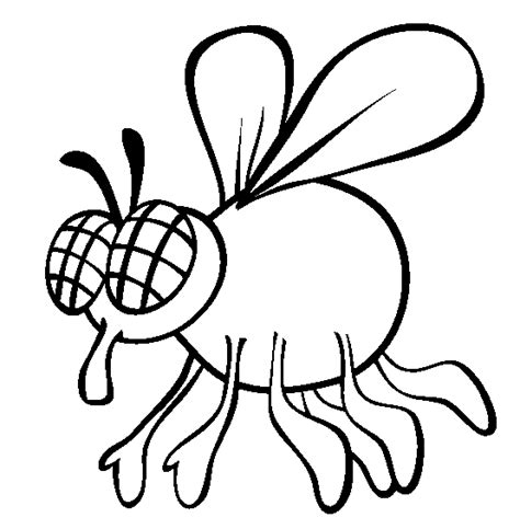 fly coloring page animals town  fly color sheet