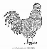 Rooster Zentangle Stylized sketch template