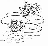 Coloring Pages Lily Pad Printable Water Pads Flower Kids Outline Clipart Drawing Popular Library Coloringhome Related Books sketch template