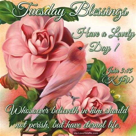 tuesday blessings have a lovely day john 3 15 pictures