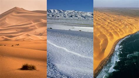 desert types formation habitat