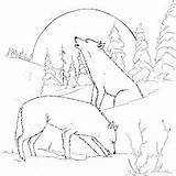 Moon Wolf Coloring Pages Howling sketch template