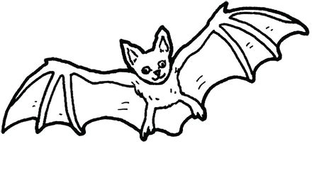 cricket bat drawing    clipartmag