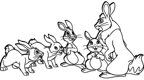rabbits drawing  getdrawings