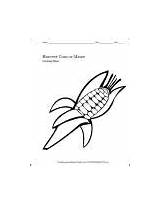 Coloring Thanksgiving Harvest Maize Corn Sheet Worksheet Worksheets Printable Fun sketch template