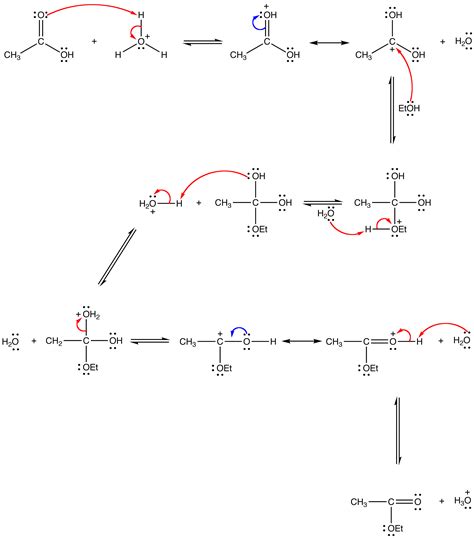 fischer esterification chemistry libretexts