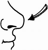 Coloring Pages Nose Human sketch template
