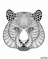 Coloring Tiger Pages Head Tigers Patterns Adult Adults Printable Tigre Tête Mandala Animals Avec Motifs sketch template