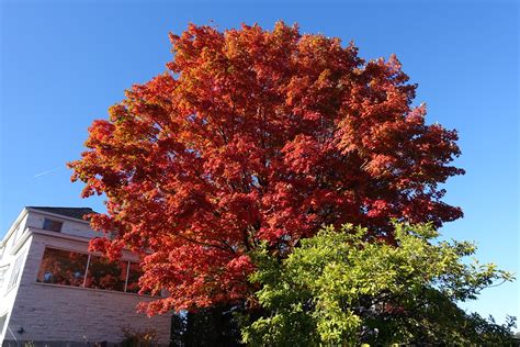 experience  beauty  canada travel land  maple leaf