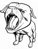 Barking Pitbull Coloringsky sketch template
