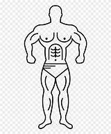 Muscle Man Drawing Guy Easy Clipart Line Vector Pinclipart Paintingvalley Drawings Clip Report Library sketch template
