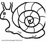 Snail Pages Coloring Printable Animal Kids Colouring Cartoon Snails Color Choose Board Printables Clipart sketch template