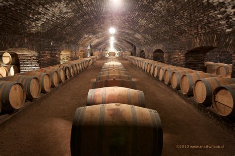 vinography images  cellar vinography