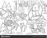 Coloring Krajobraz Forest Animals Landscape Adults Pages Bear Colorare Da Kolorowanki Deer Illustration Immagini Fox Per Las Zwierzęta Foresta Animal sketch template