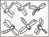 Coloring Pages Gambar Capung Untuk Binatang Diwarnai Insect Kids Printable Anak Dragonfly Insects Color Pond Sheets Animals Choose Board Worksheets sketch template