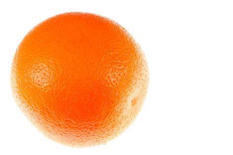 File Orange Fruit Close Up  Wikimedia Commons