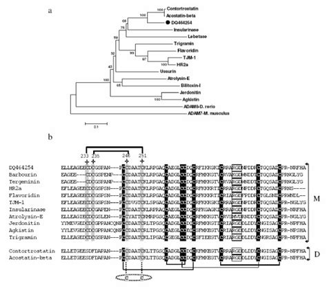 phylogenetic nj tree  class pii metalloproteinases  viperid  scientific
