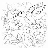 Flor Beija Colorir Fofo Colorironline Hummingbird sketch template