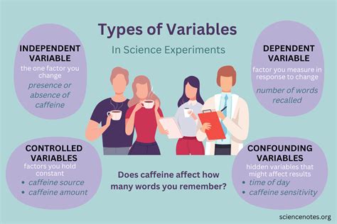 types  variables  science experiments
