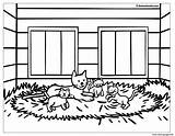 Coloring Pages House Barn Big Kittens Printable Farm Color Animals Kitten Zini School Print sketch template