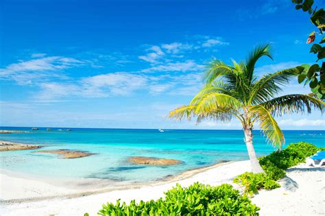 vacation package   bahamas  inclusive hotel riu palace
