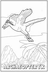 Archaeopteryx Flying Archeopteryx sketch template